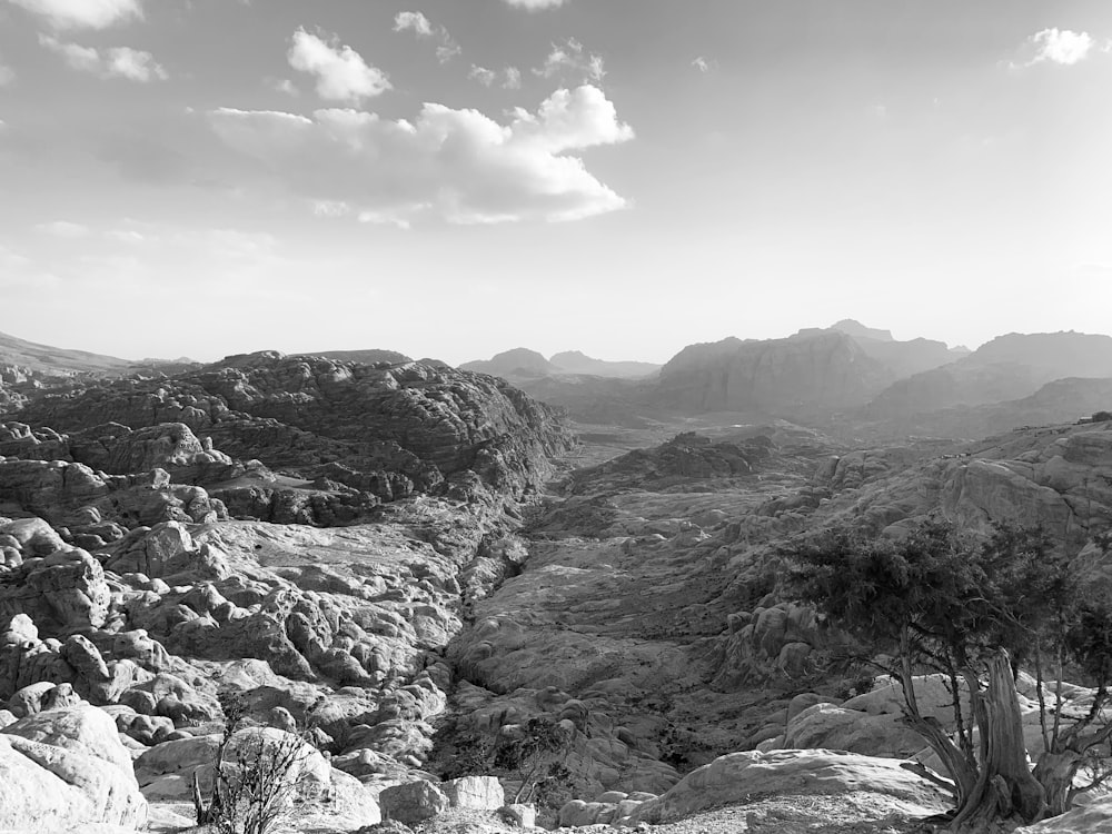 a black and white photo of mountains and trees