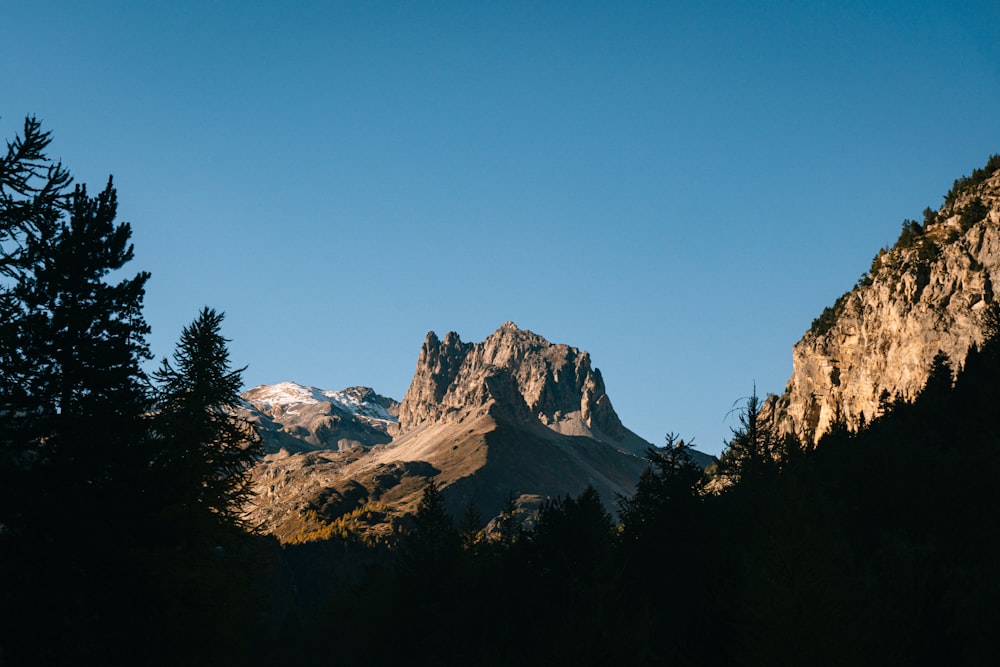 a view of a mountain with trees in the foreground