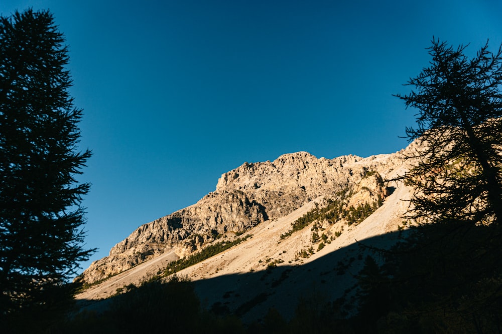 a view of a mountain with trees in the foreground