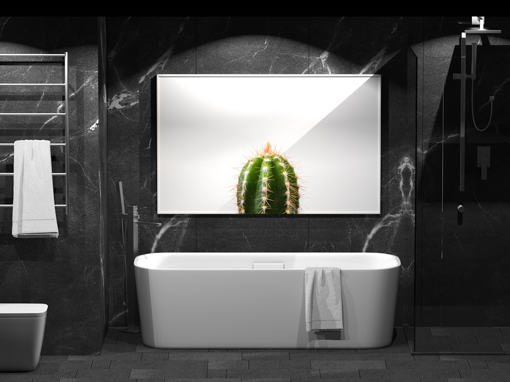 un bagno con un cactus nello specchio