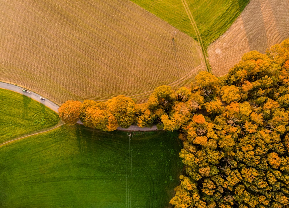 an aerial view of a road through a field