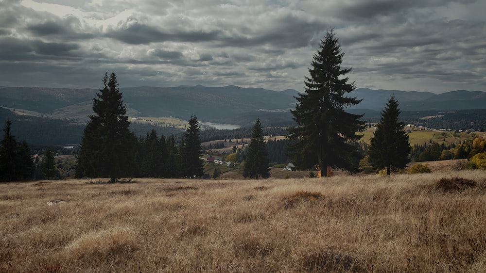 a grassy field with trees and mountains in the background