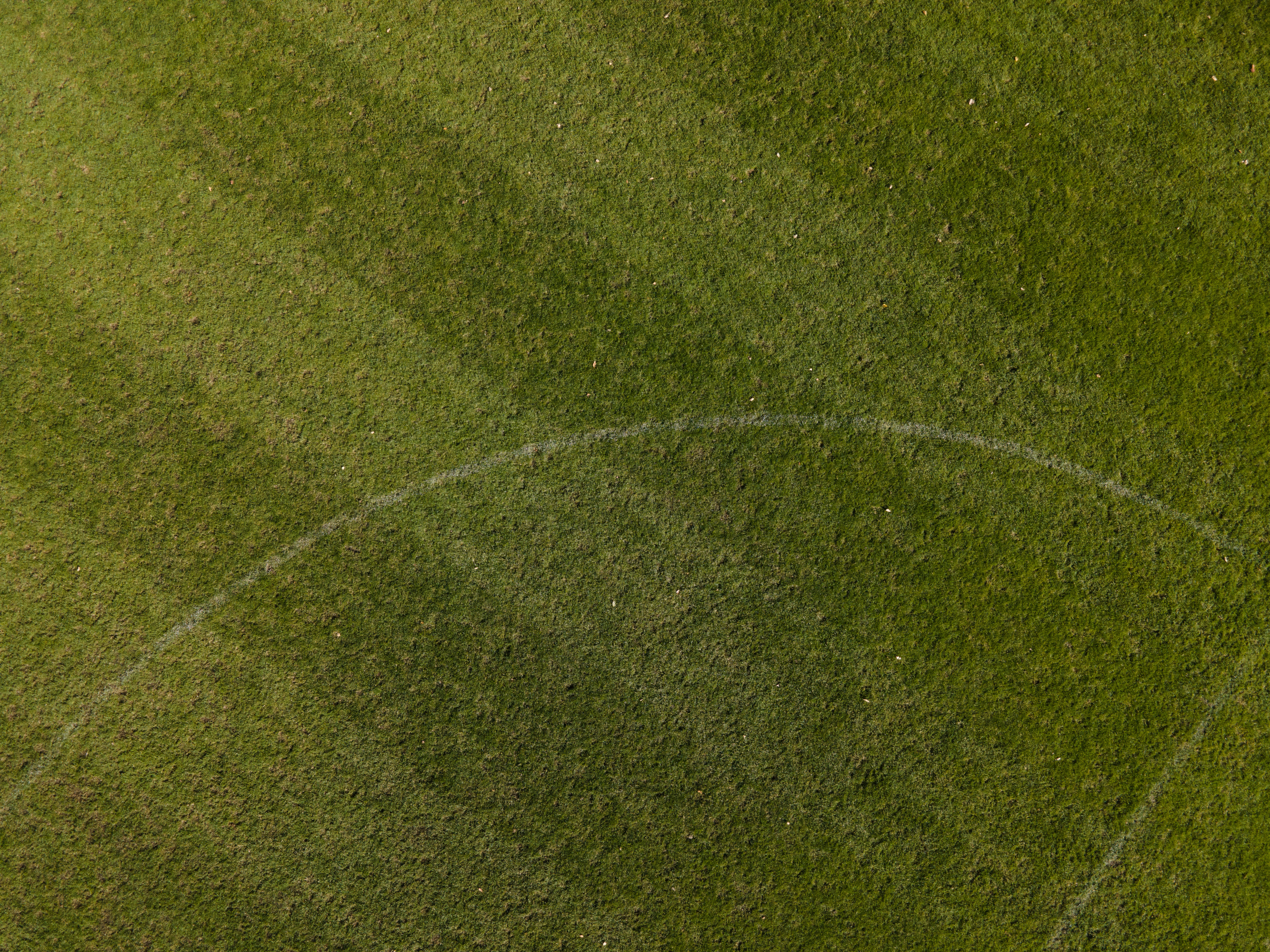 体育场景配图（资料示意）