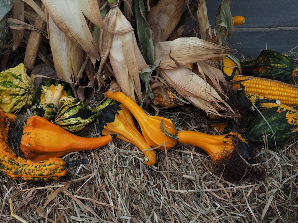 a pile of pumpkins and gourds sitting on top of a pile of
