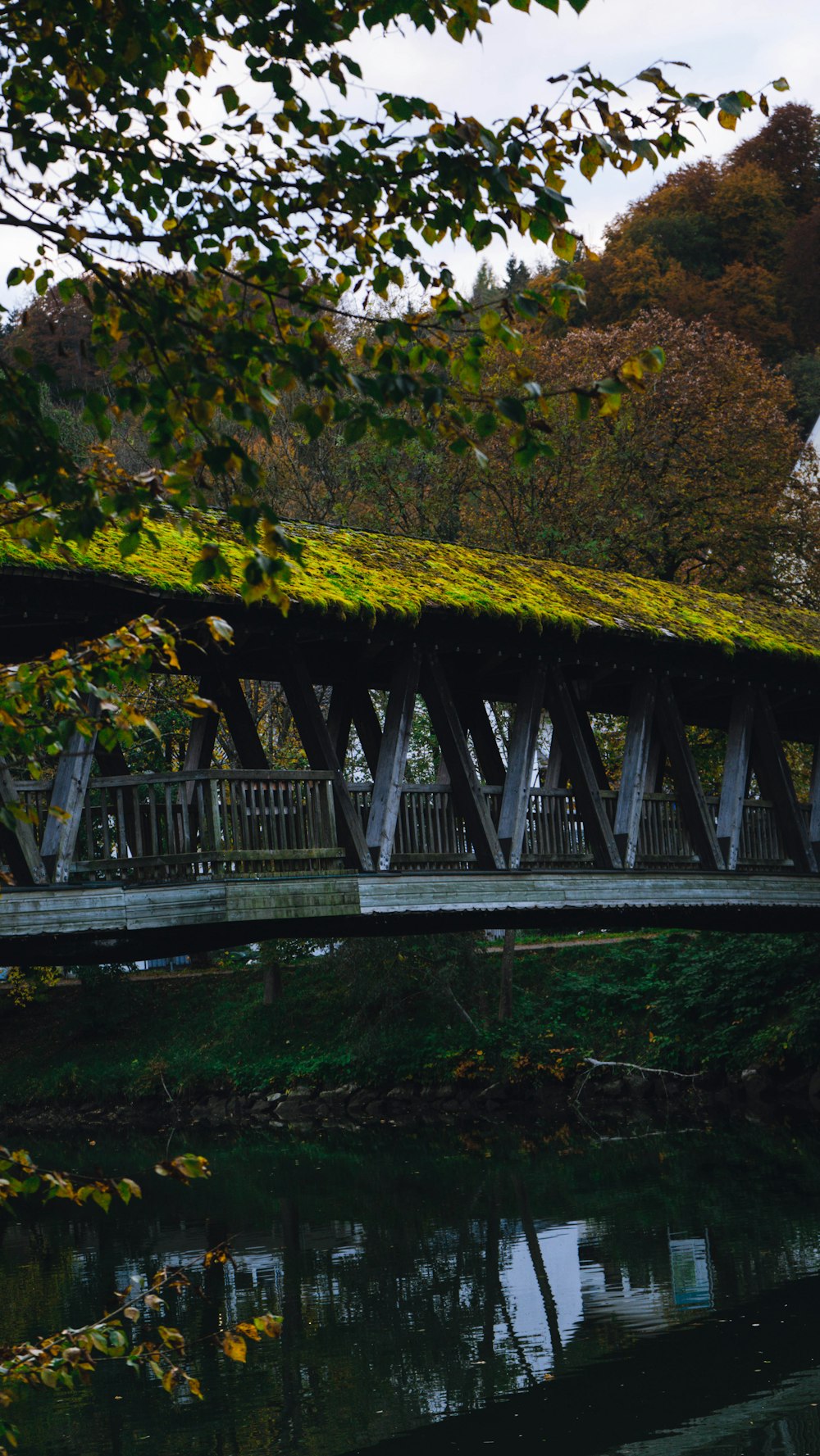 a bridge with a green roof over a body of water