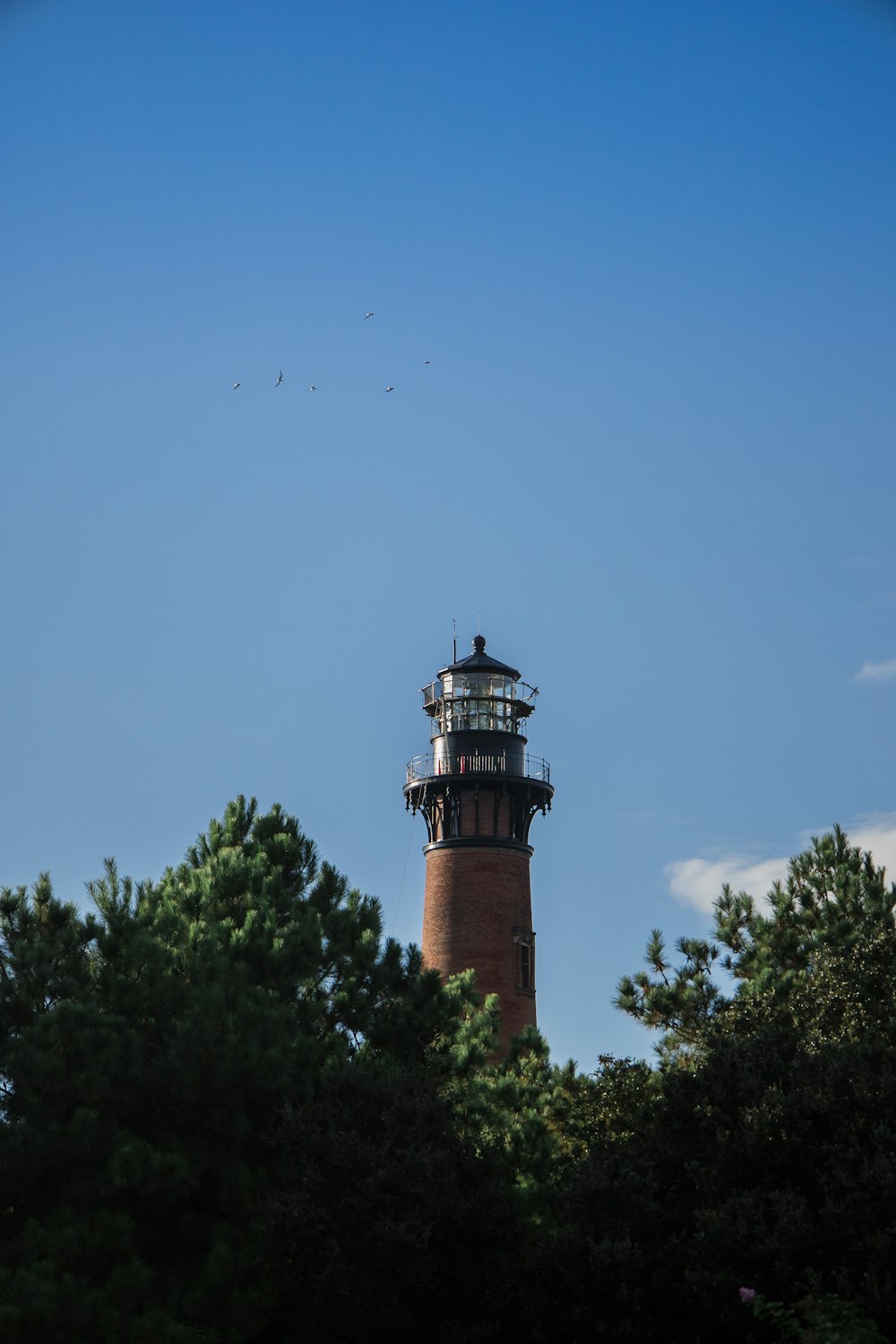 a tall light house surrounded by trees under a blue sky