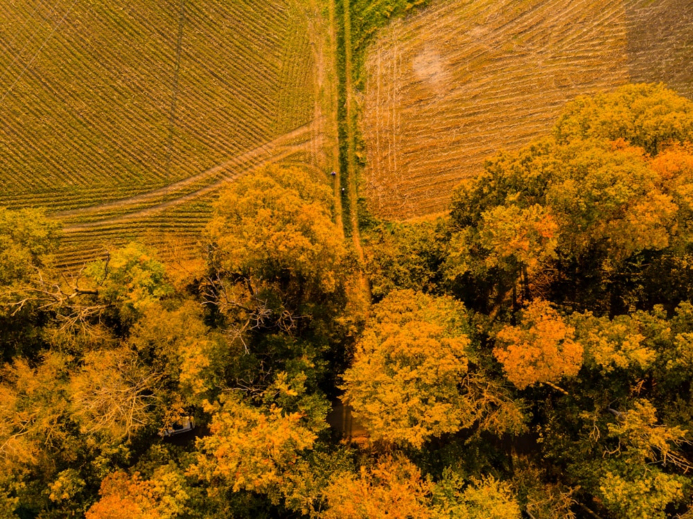 an aerial view of a field with trees in the foreground