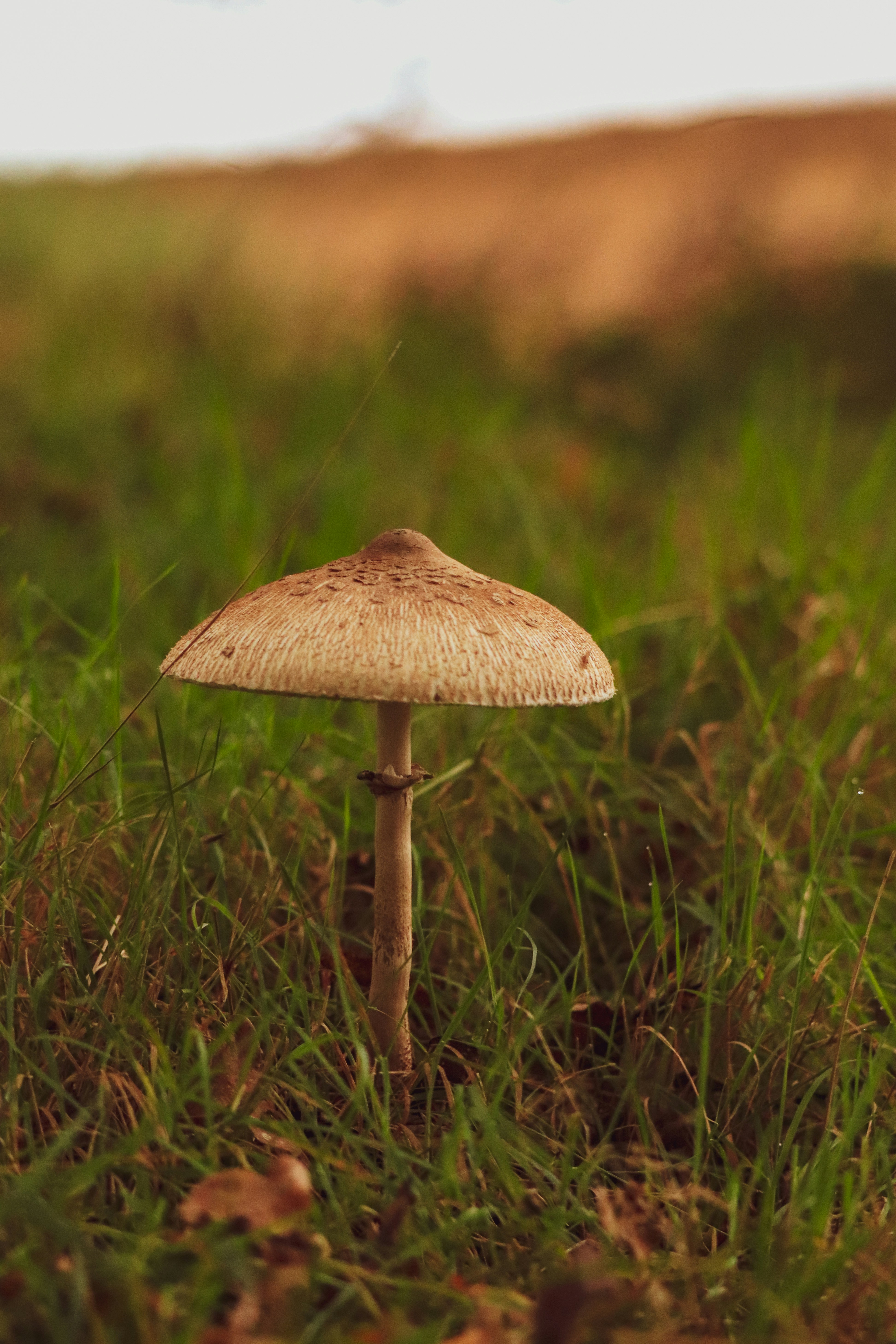 Photo by maureeneijpe