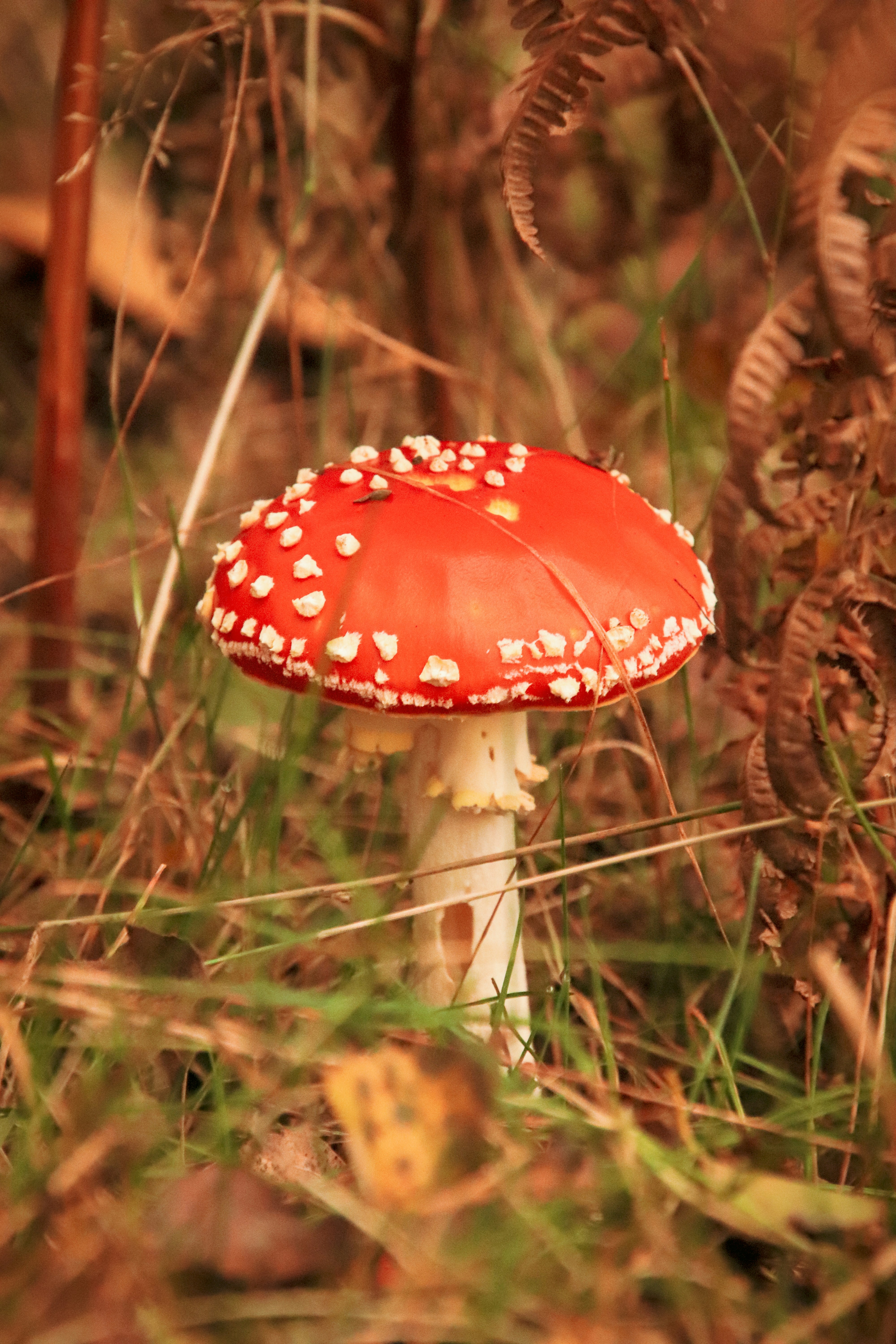 Photo by maureeneijpe