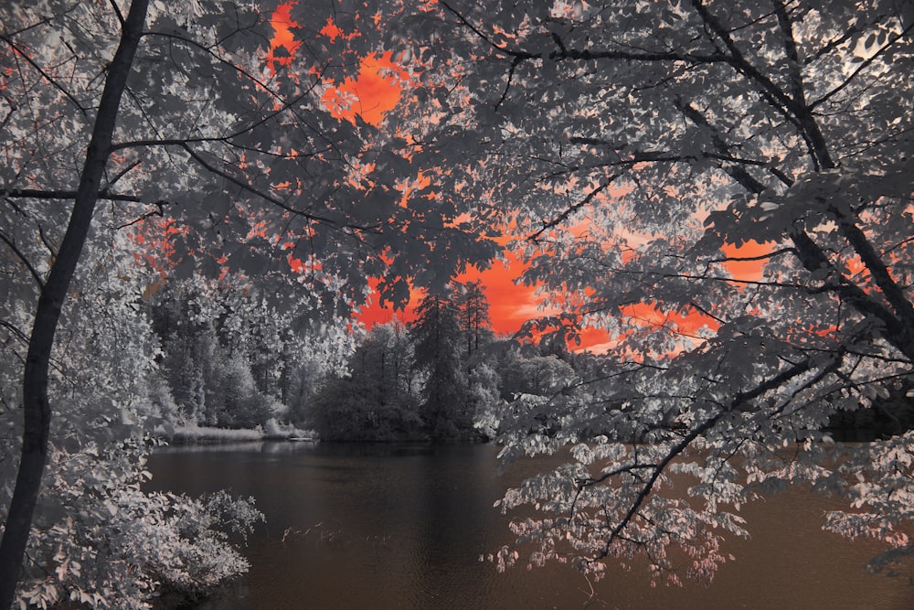 a lake surrounded by trees with a red sky in the background
