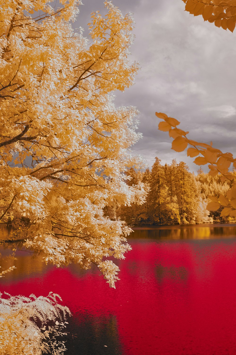 a red pond with a tree in the foreground