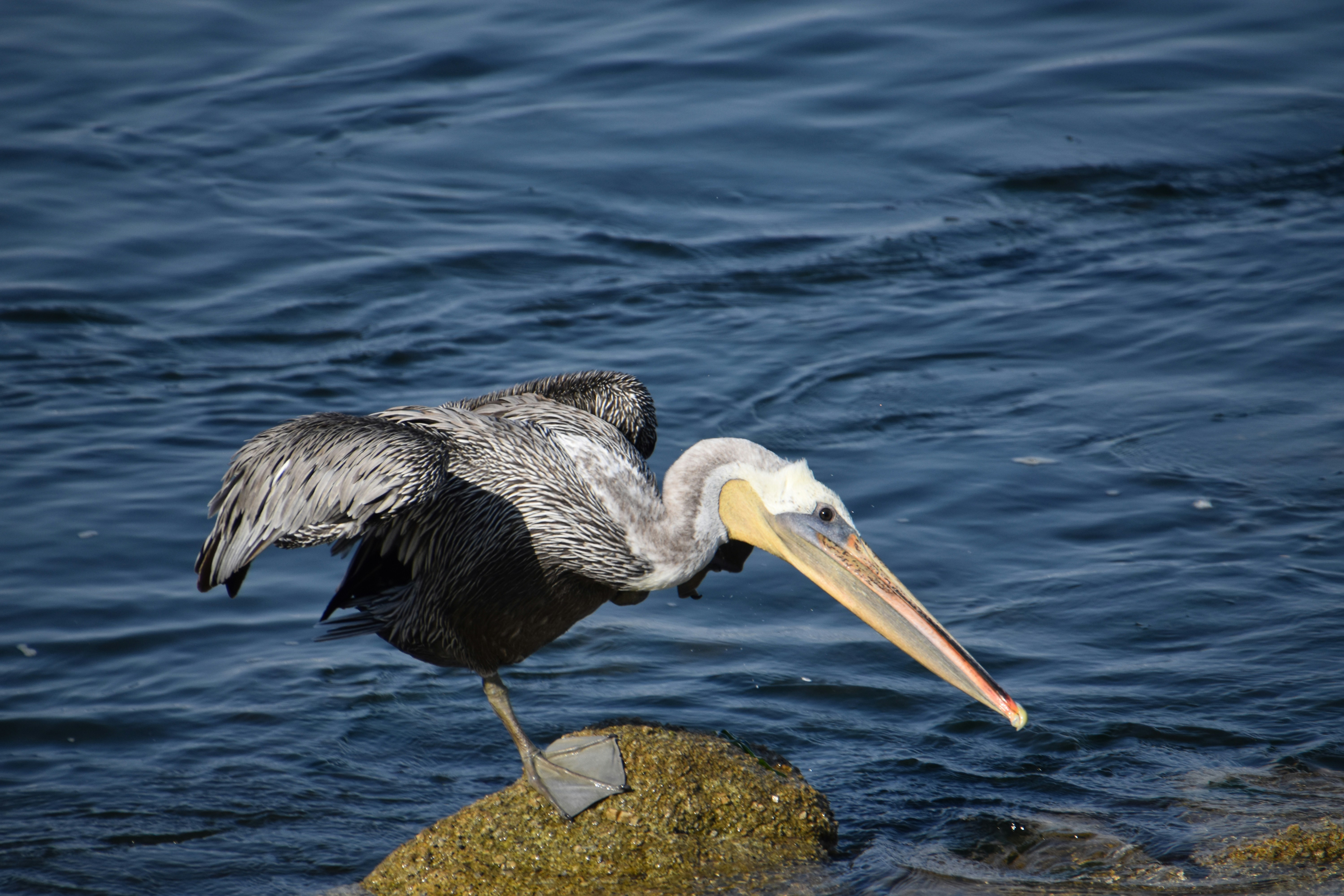 Photo by jennykaypollock