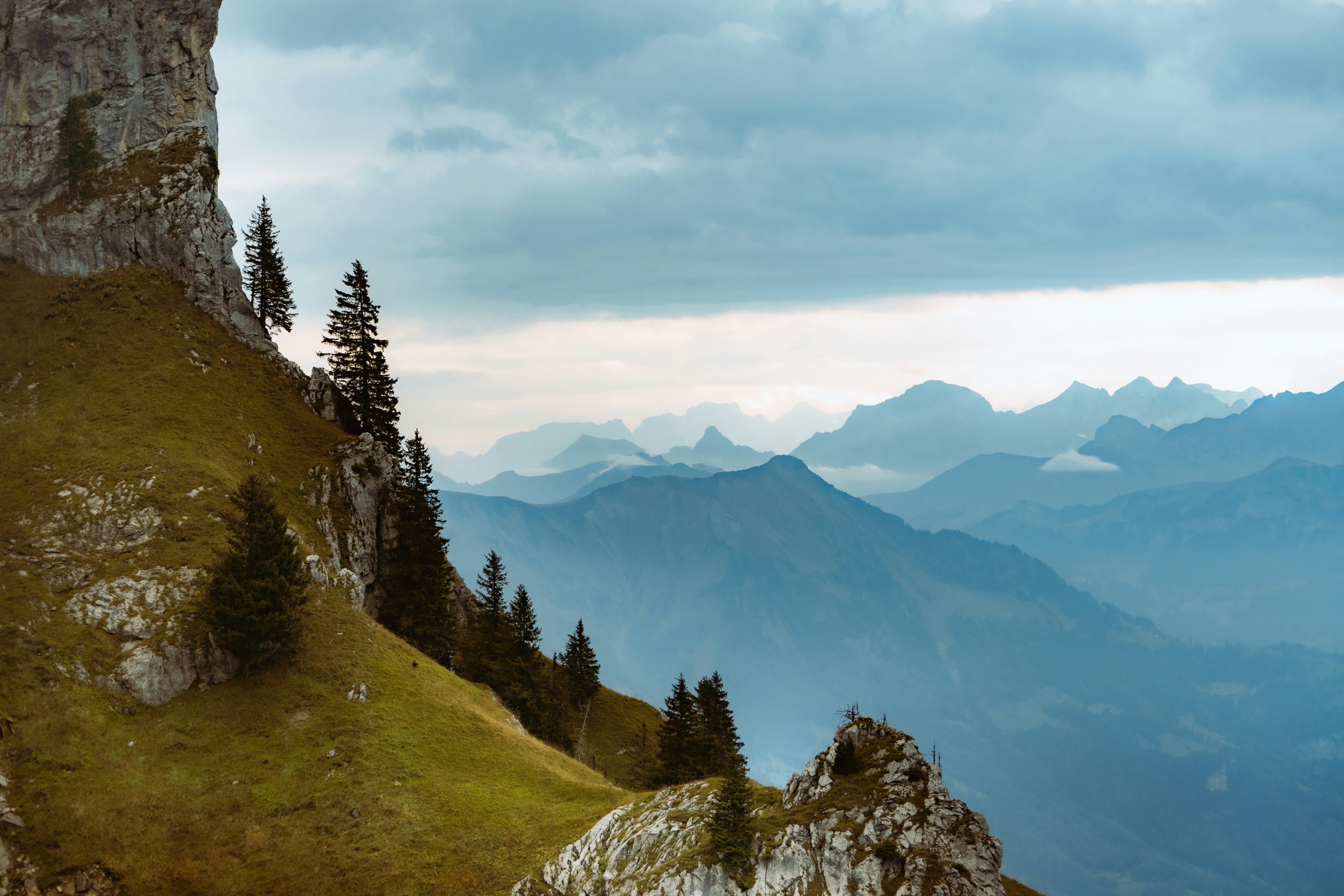 Photo by benaja_photos