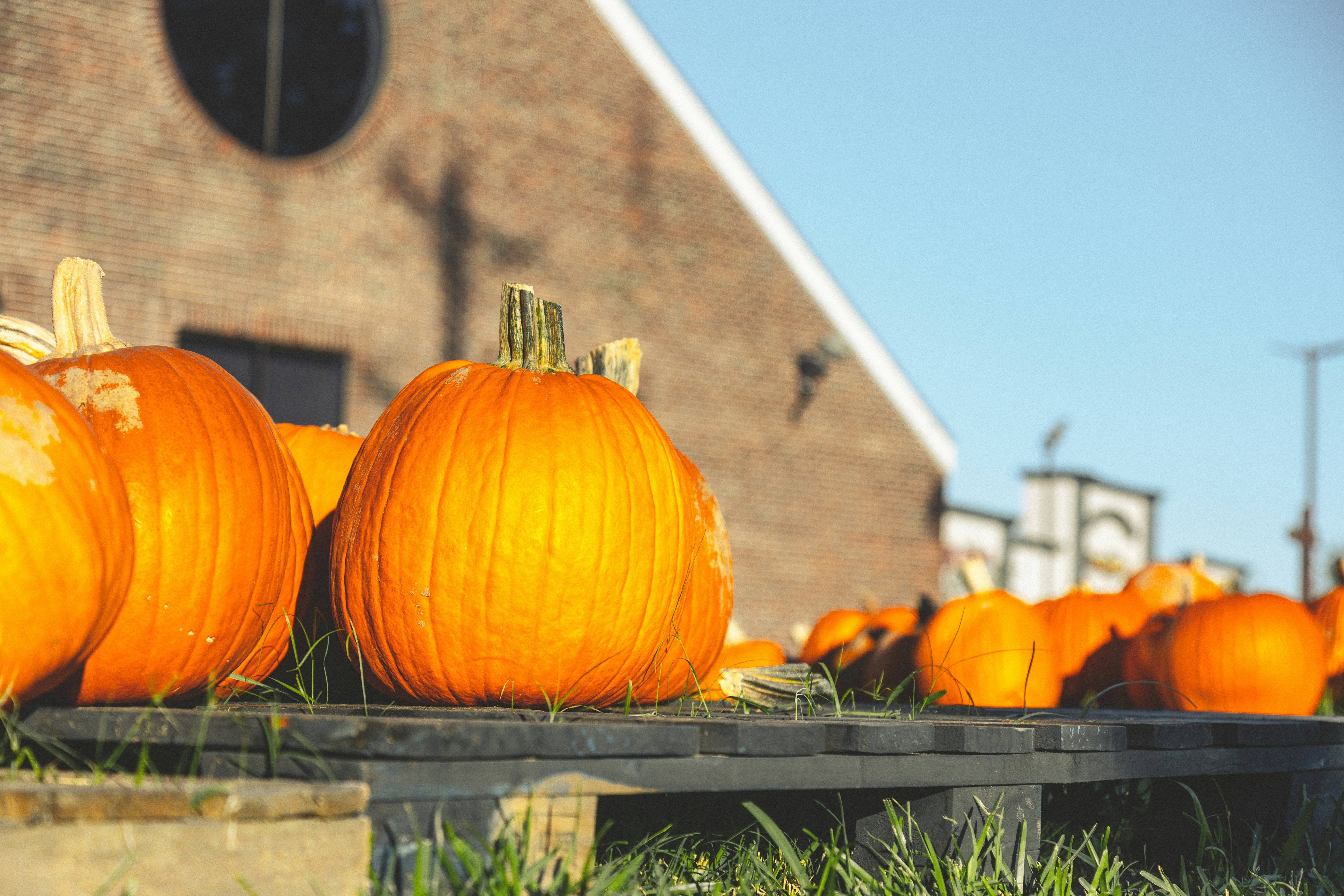 Photo by terrenhurst