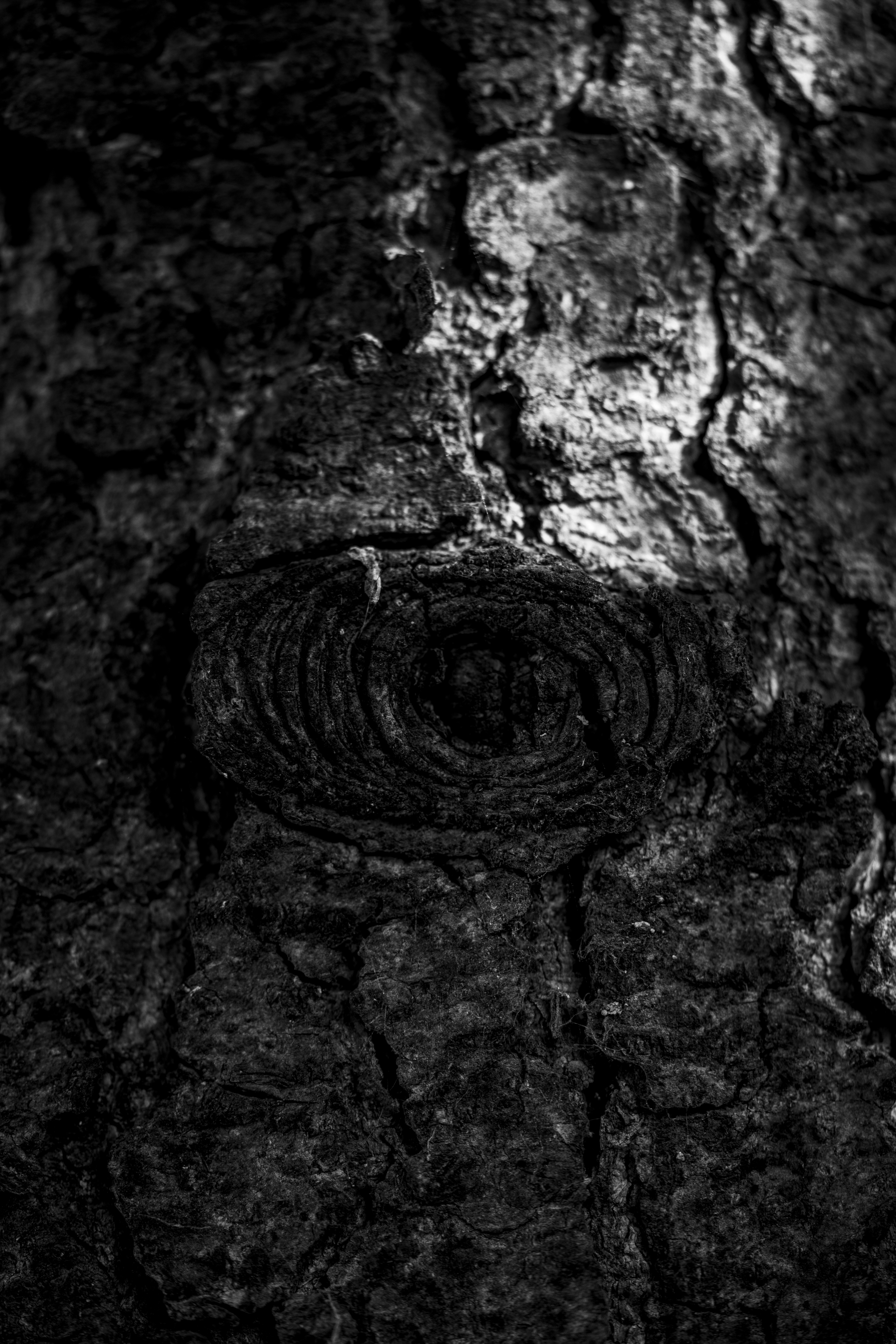 Photo by mihaiteslariu0