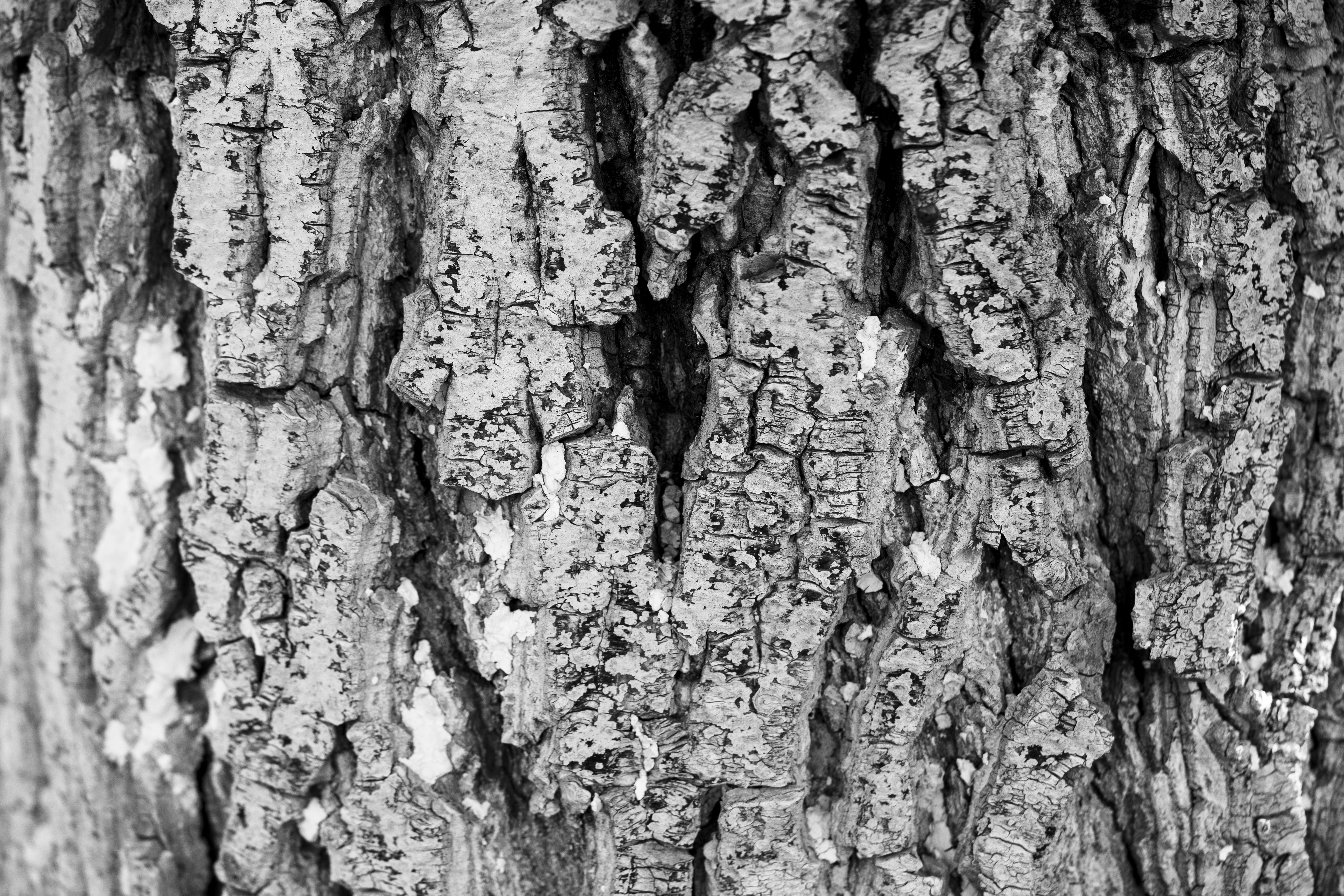 Photo by mihaiteslariu0