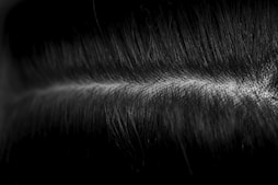 a black and white photo of some hair