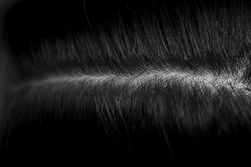 a black and white photo of some hair