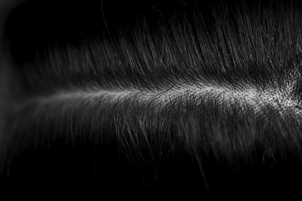 a black and white photo of some hair