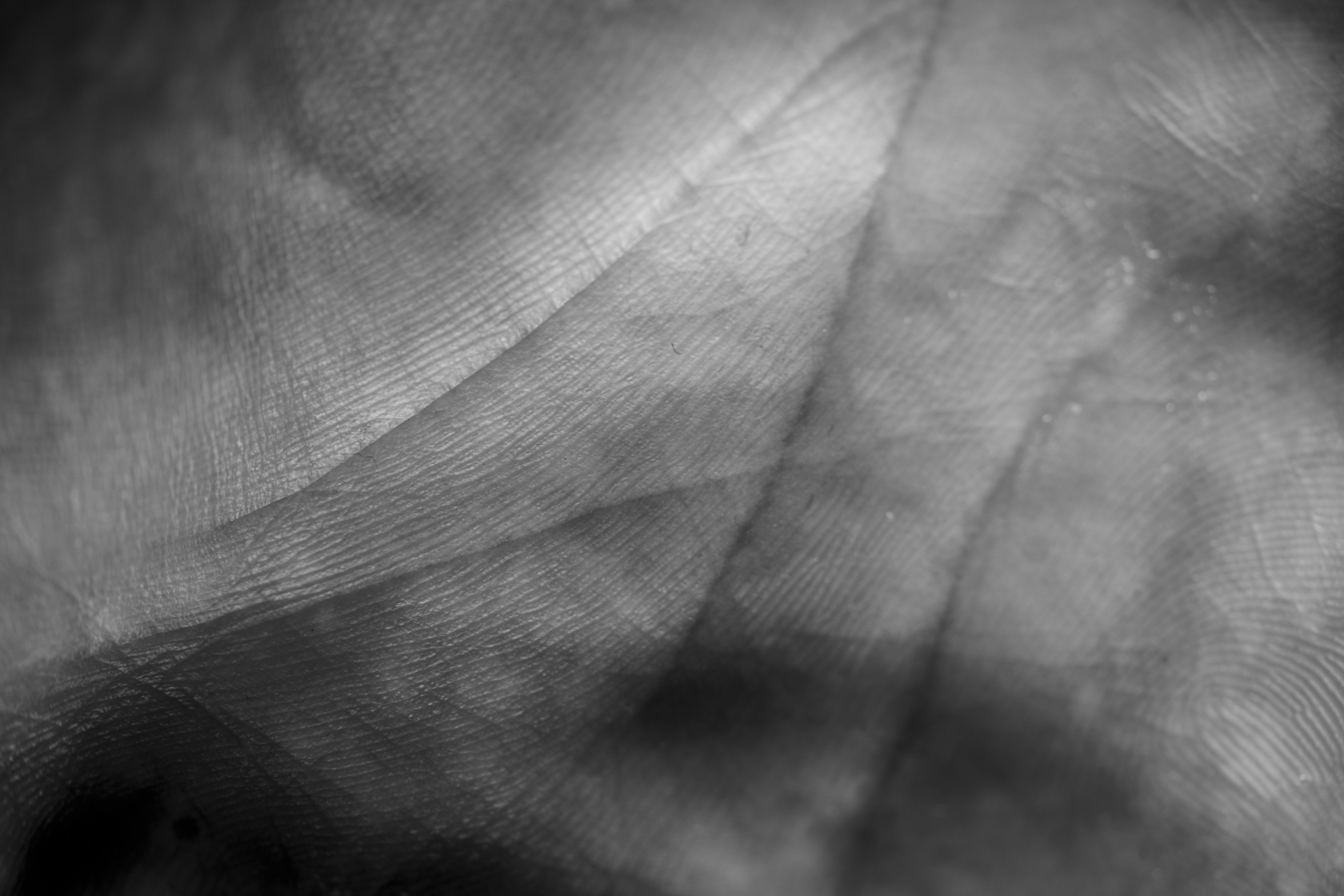 Photo by mihaiteslariu0