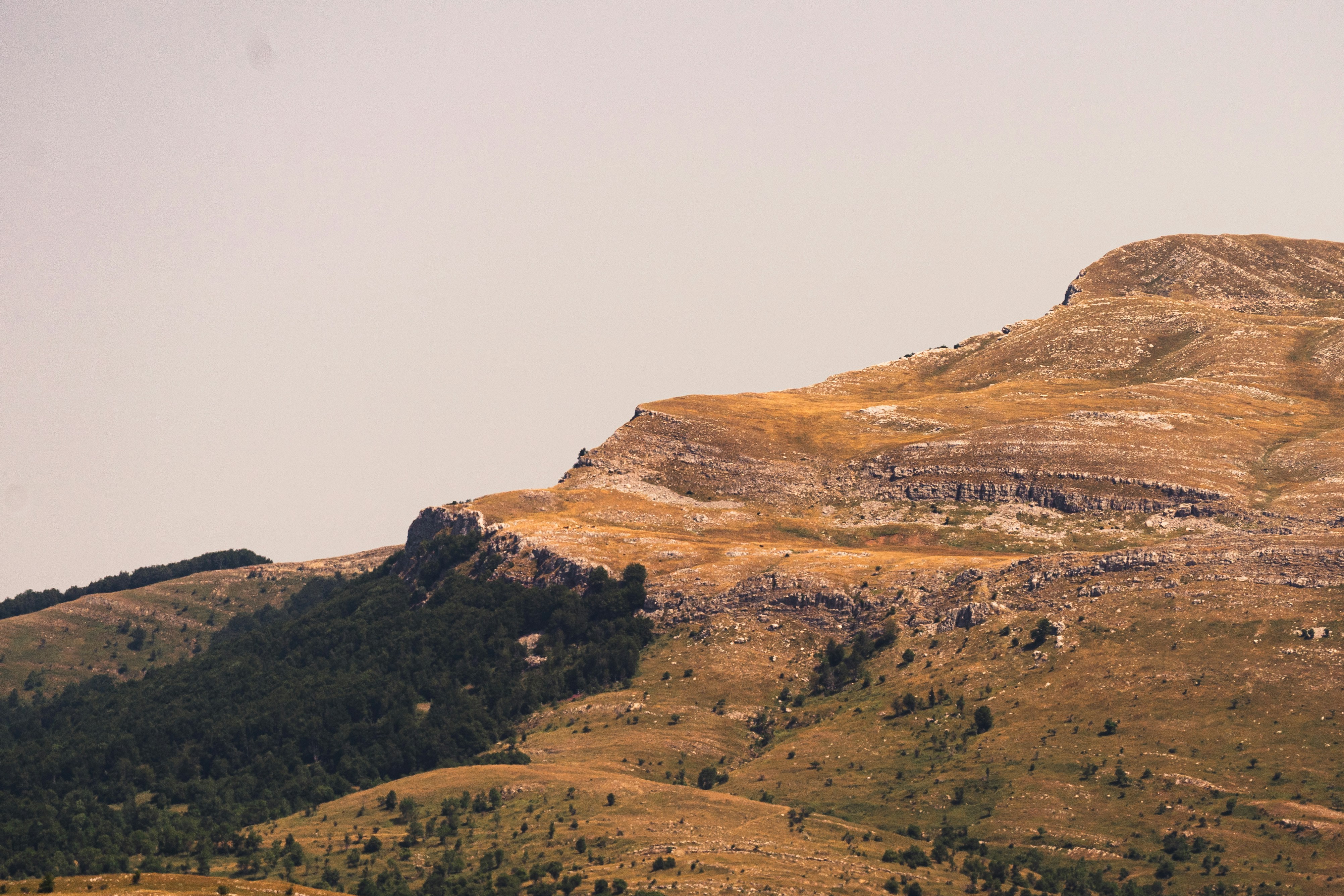 a mountain with a few trees on the side of it