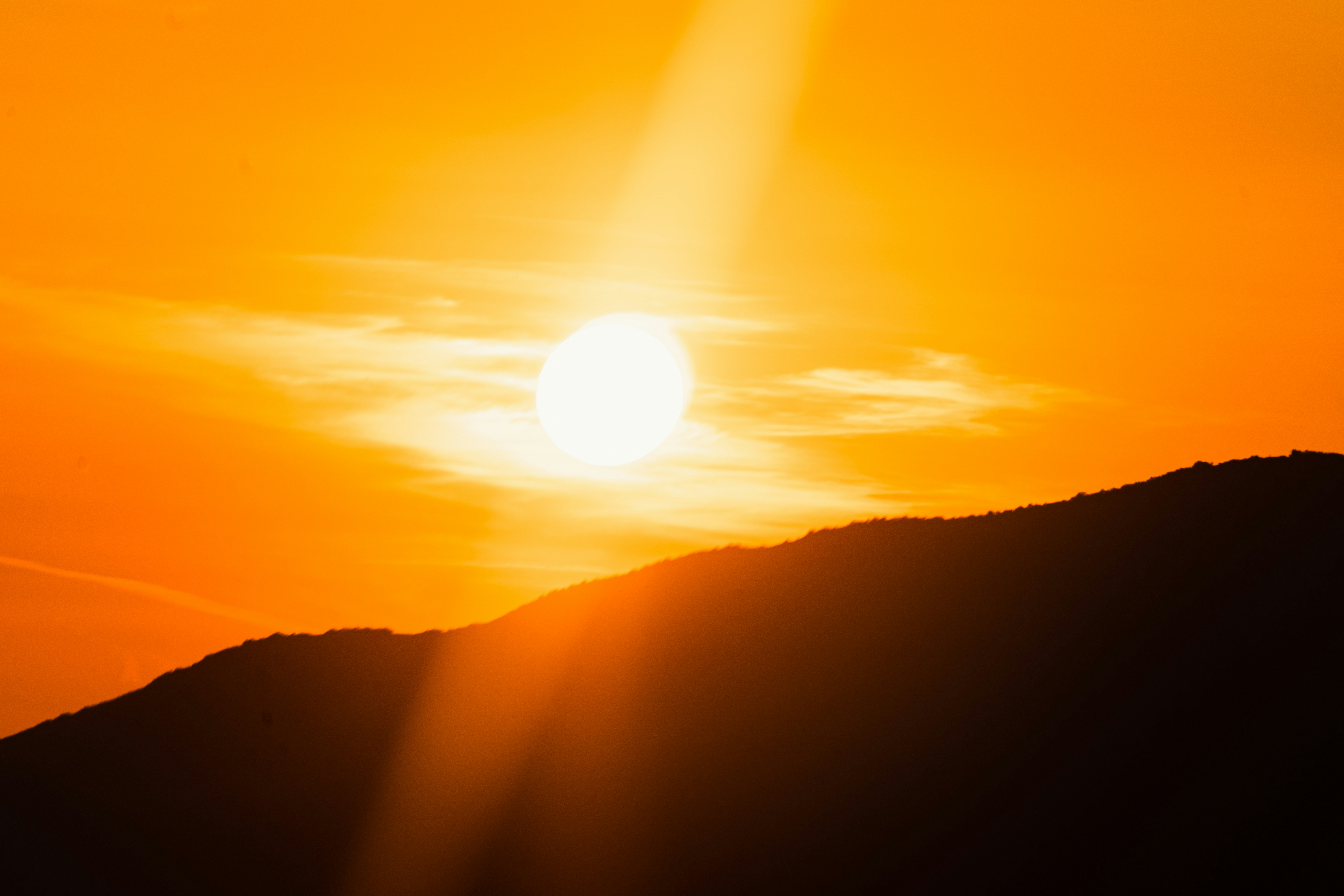 Photo by thestefankostic