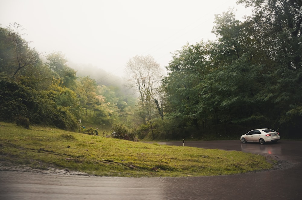 a white car driving down a road next to a lush green forest