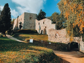 Ancient stone ruins are surrounded by a lush landscape, with trees and greenery framing the scene. The building appears dilapidated yet charming, with weathered stone walls and archways. The sun casts warm, golden tones over the grass and the leaves, which are scattered across the ground.
