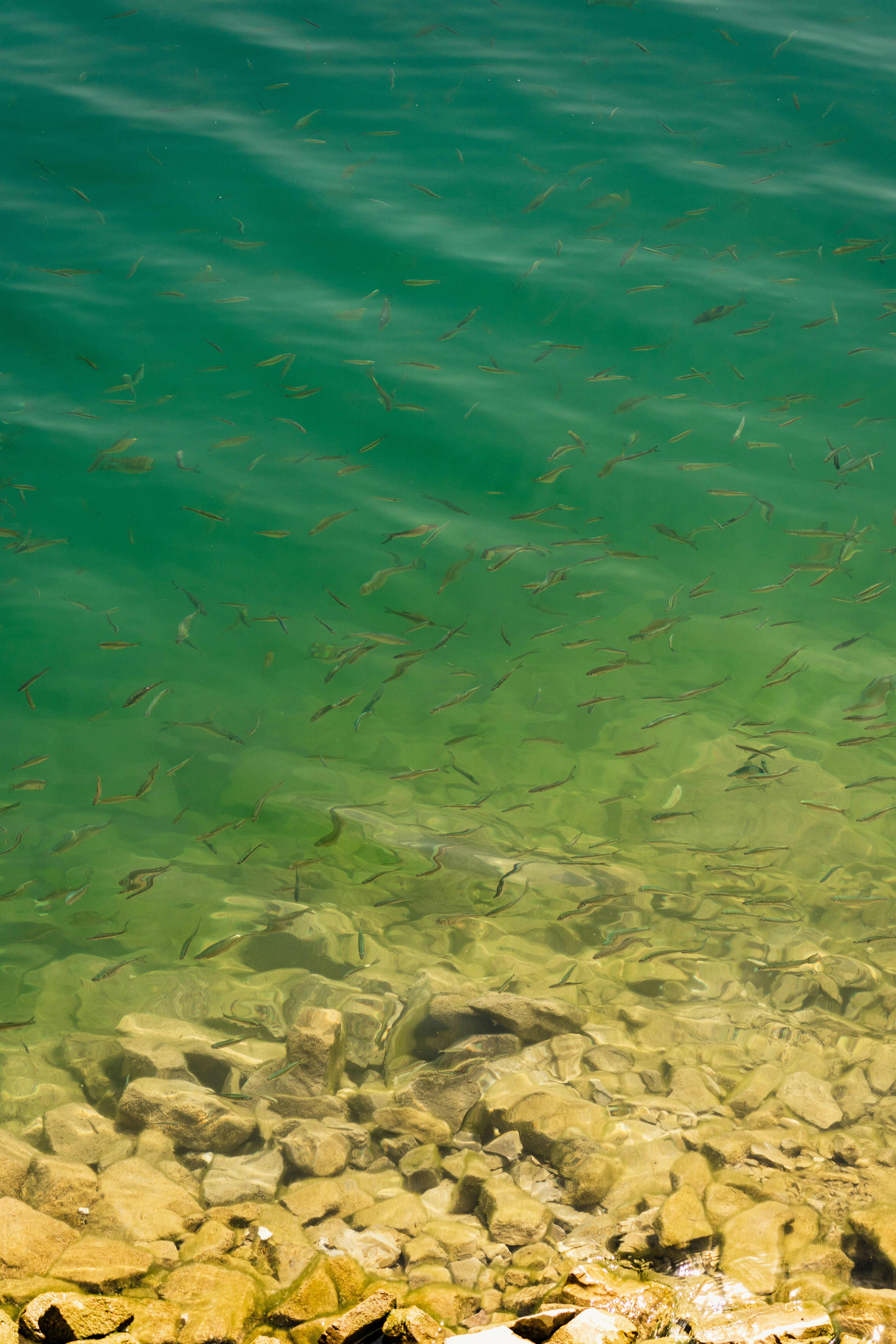 Photo by thestefankostic