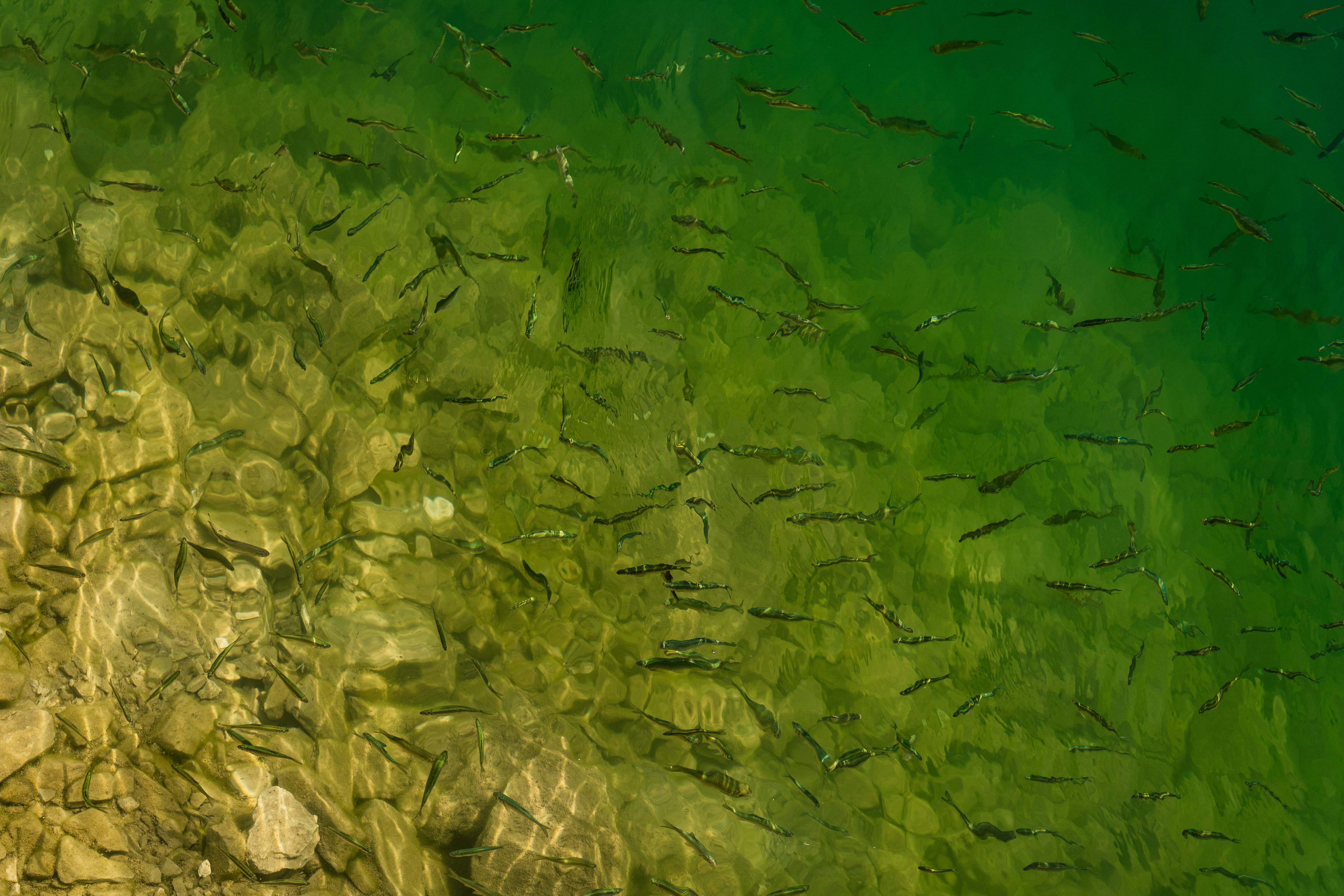 Photo by thestefankostic