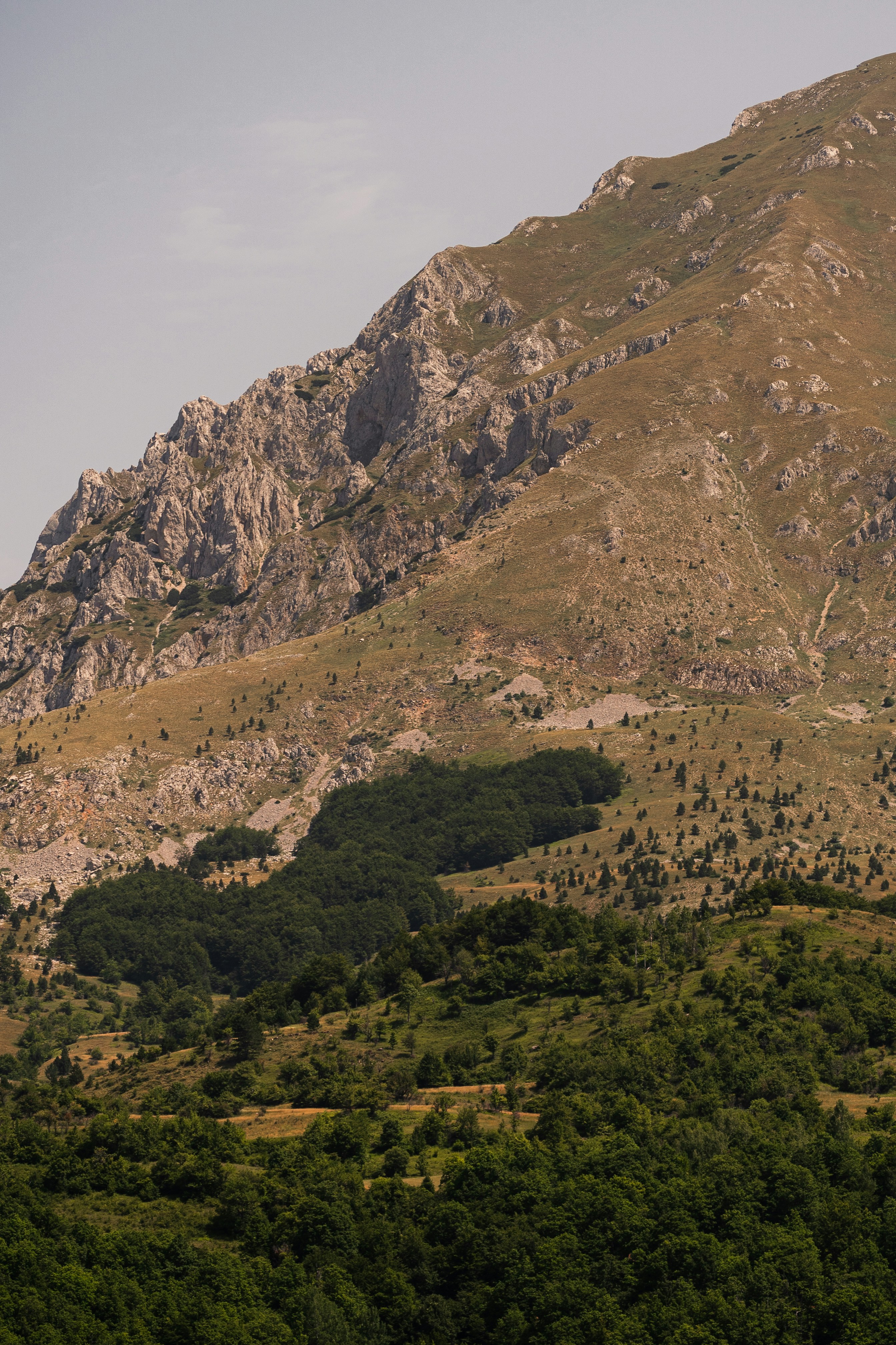 Photo by thestefankostic