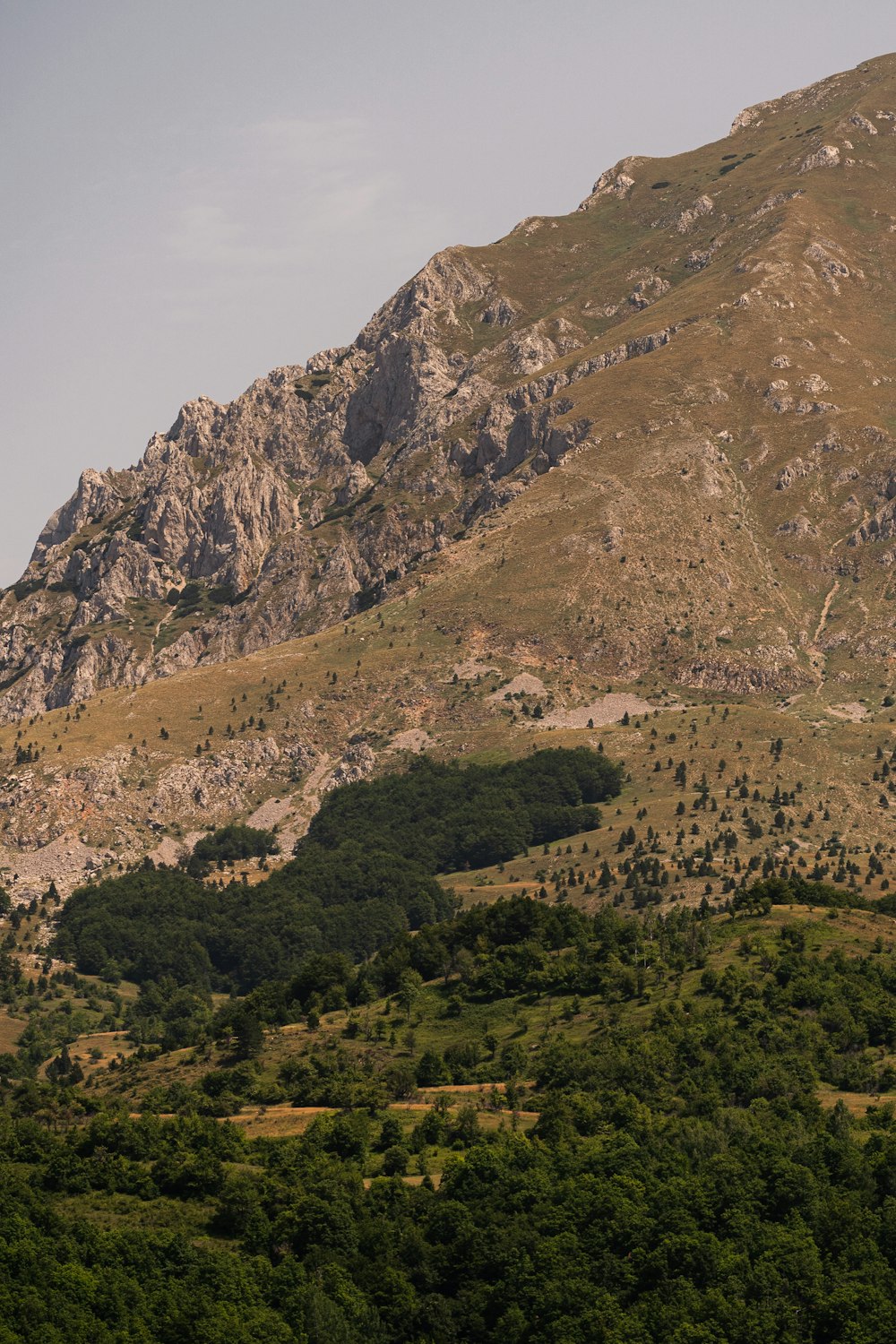 a mountain side with trees and bushes on the side