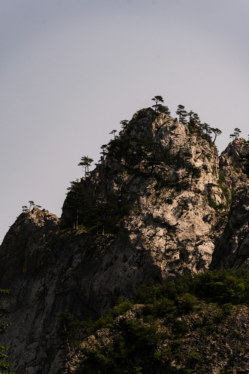 a mountain with trees on top of it