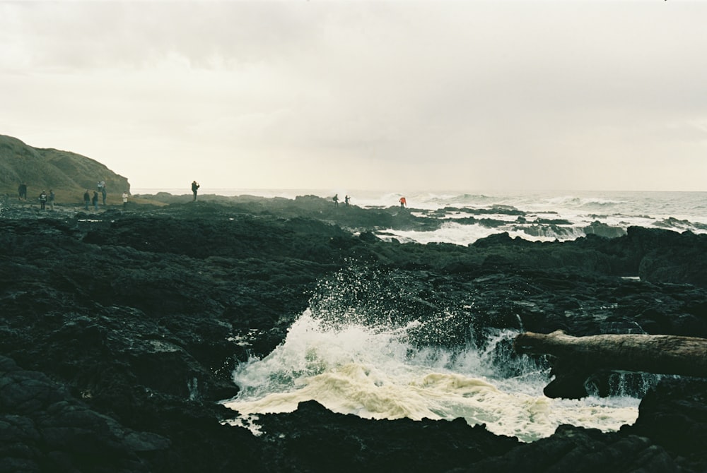 a group of people standing on top of a rocky beach