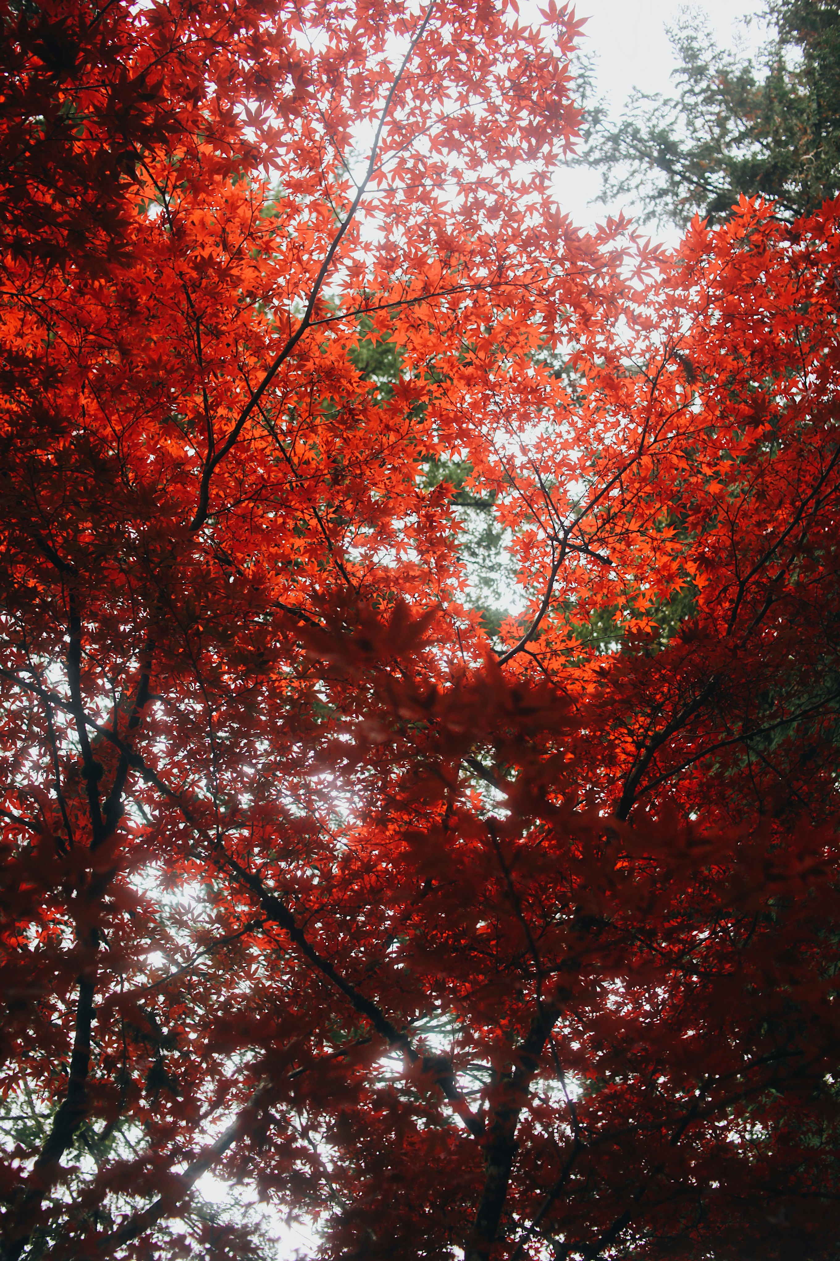 Photo by earthtokarly