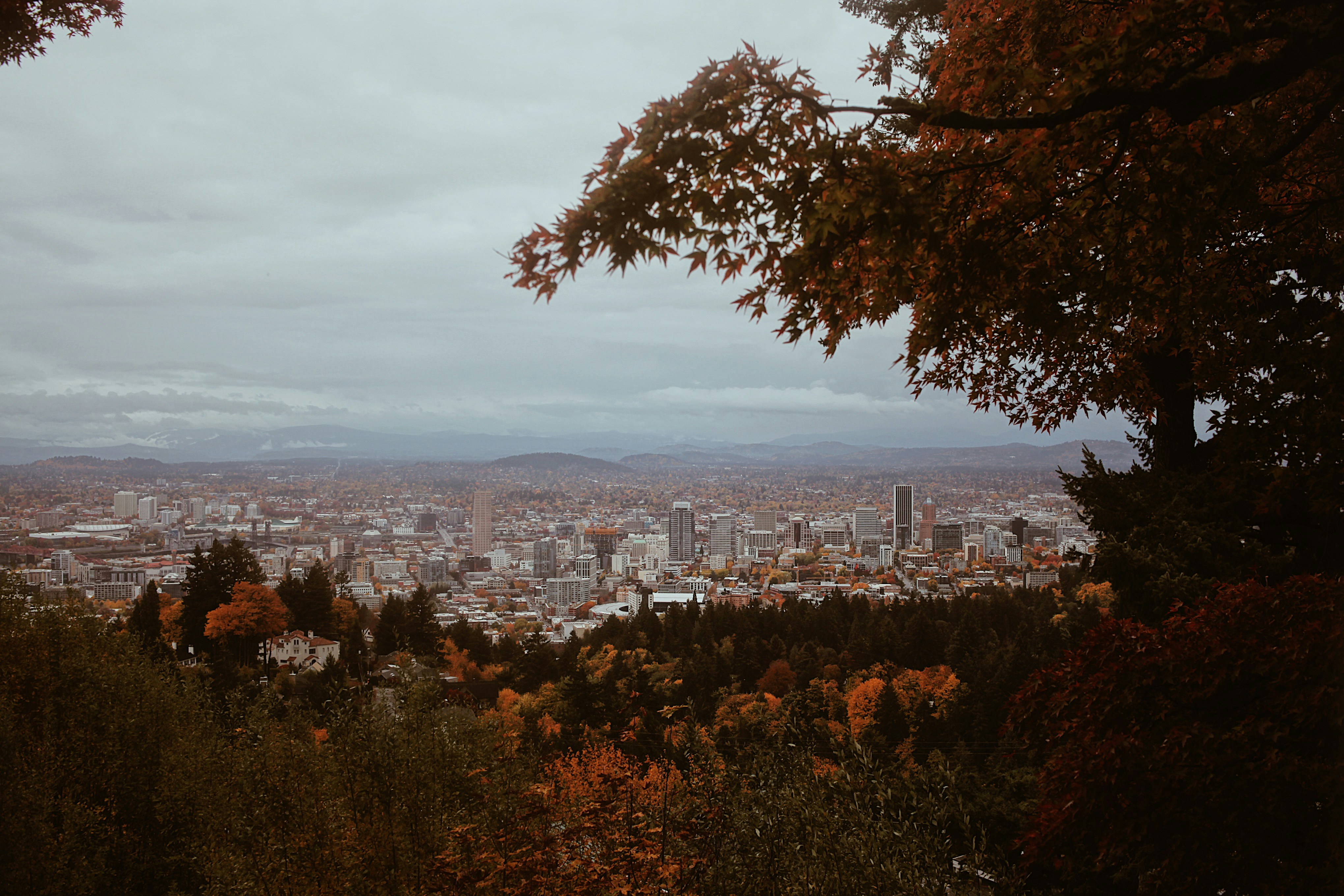 Photo by earthtokarly