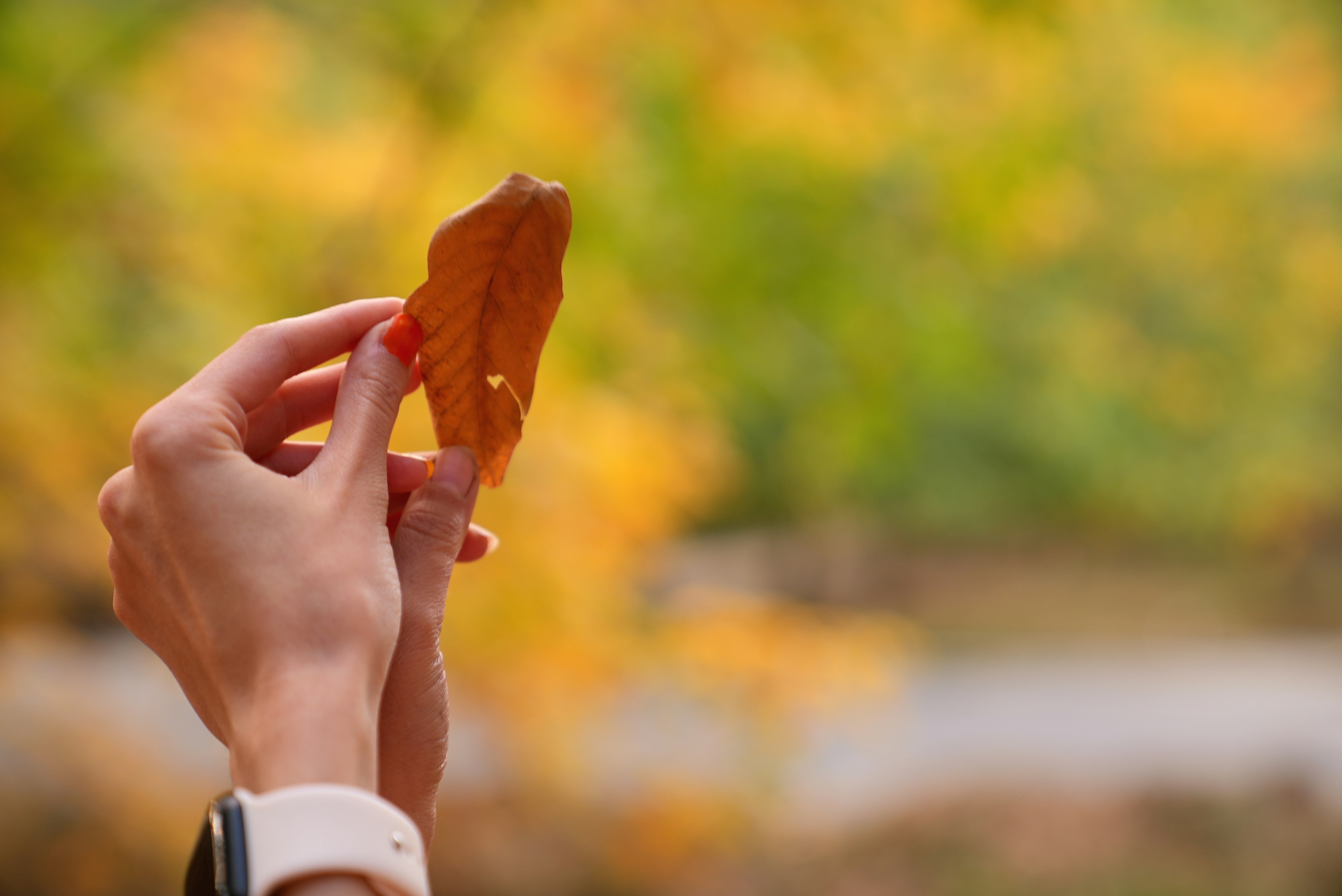 Photo by rafieeartist