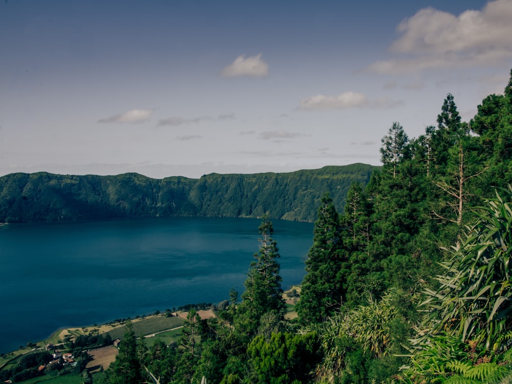 a large body of water surrounded by trees