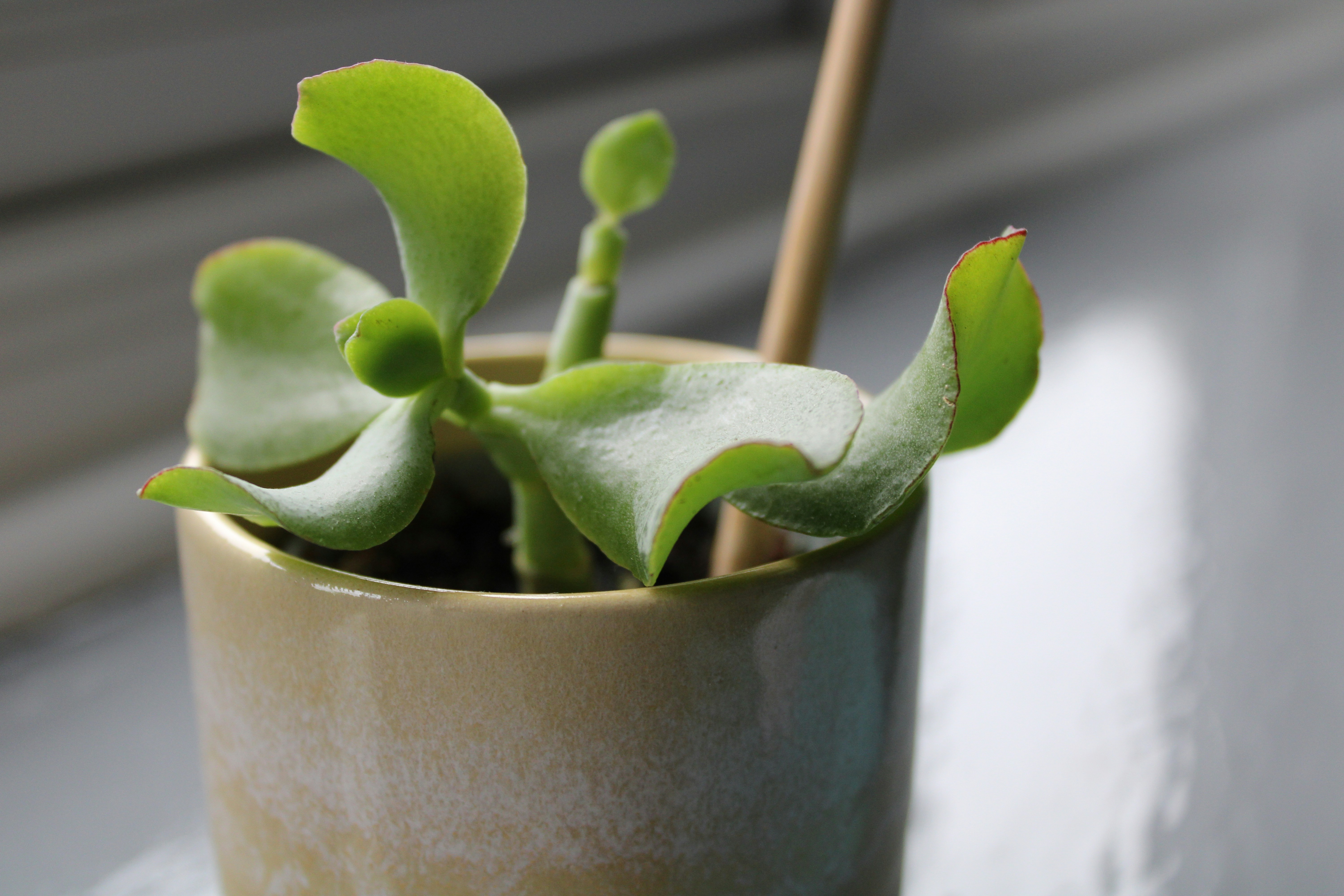 Birmingham cityscape