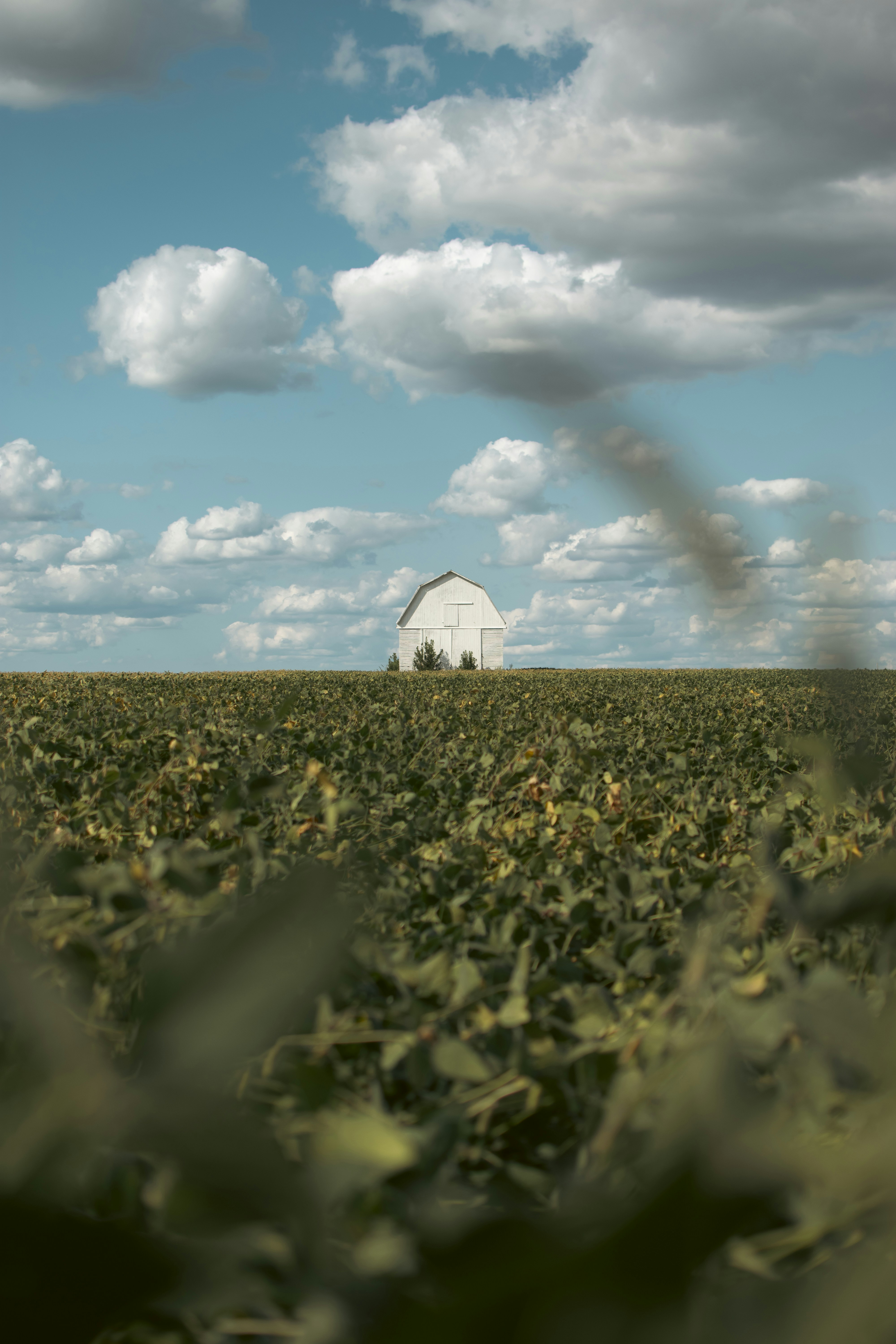 a field with a barn in the distance