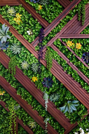 Vertical garden composed of wooden slats arranged in a diagonal, crisscross pattern, with various types of green foliage and vibrant yellow flowers interspersed throughout. Succulents and ferns add texture and diversity to the lush greenery.