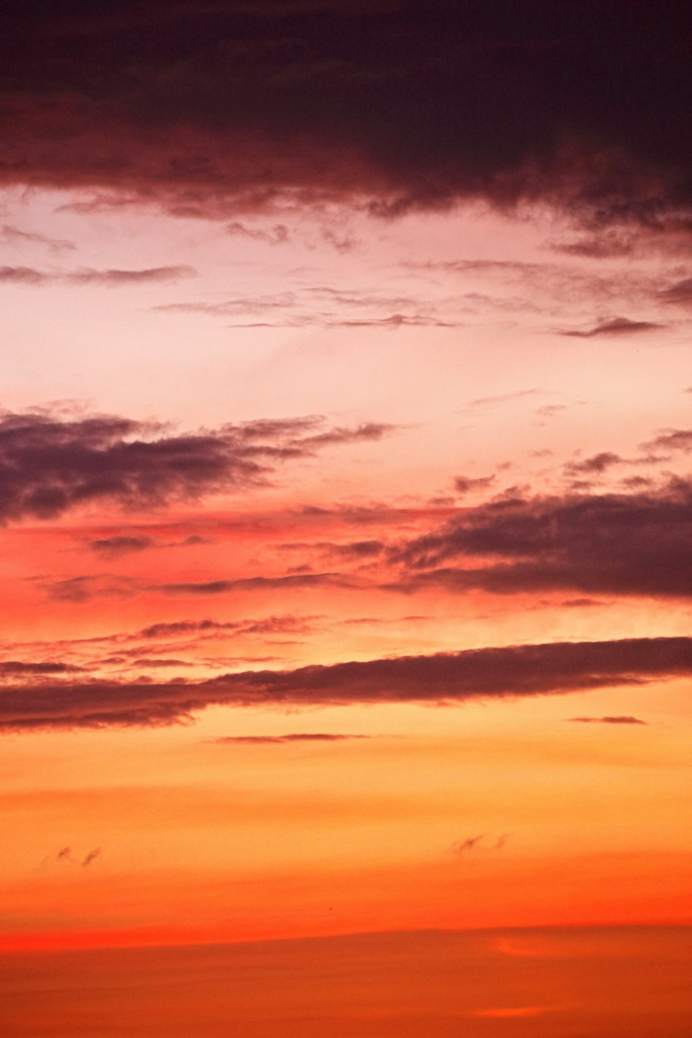 a plane flying in the sky at sunset