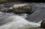 A bubbling mountain stream winding through mossy rocks.
