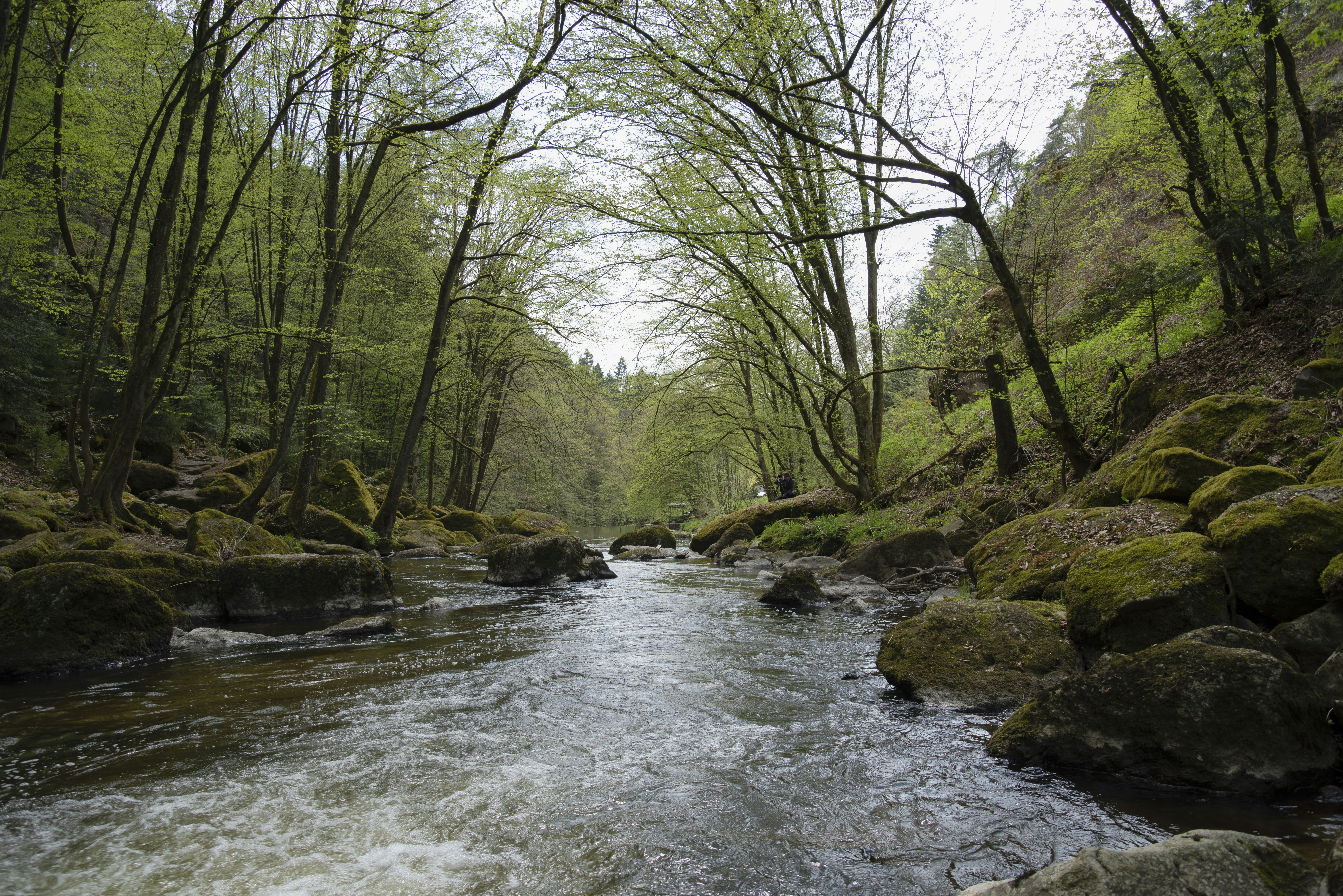 Photo by christina_k