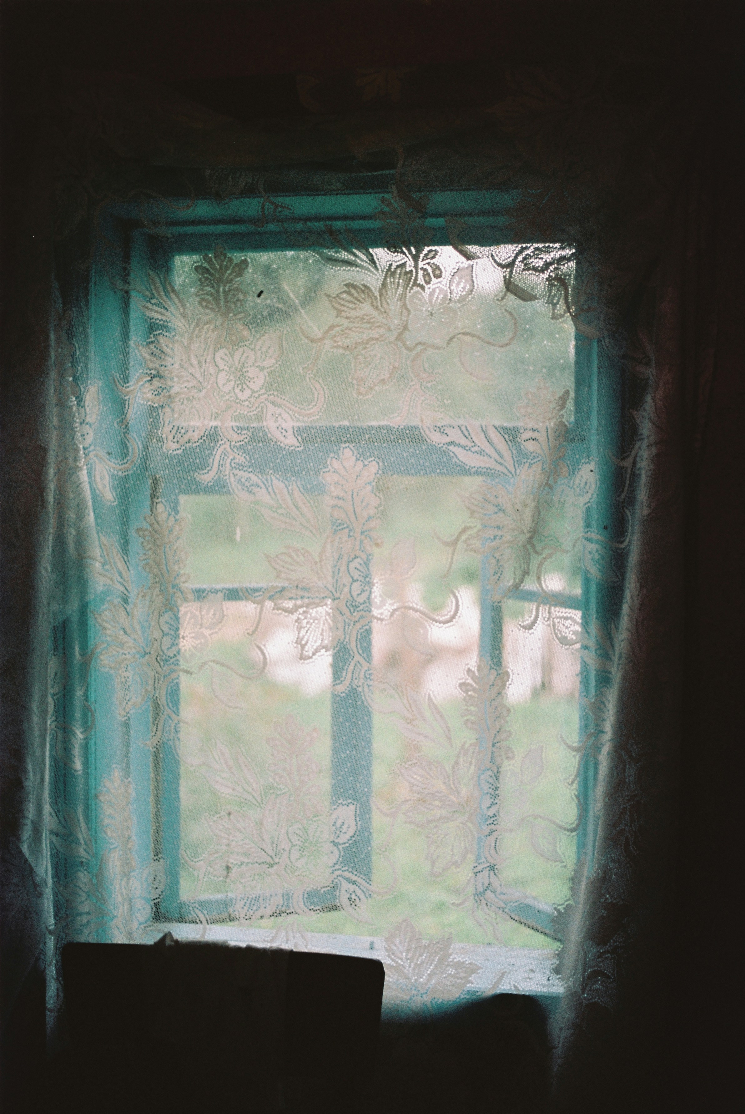 Photo by shnipelson