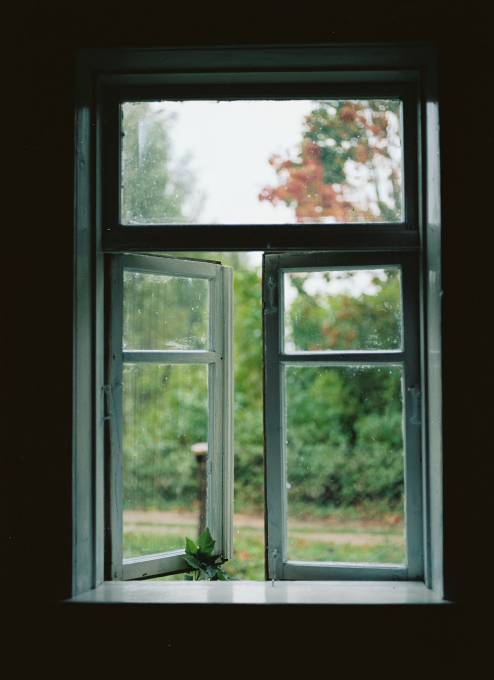 a window with a view of trees outside