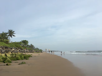 a group of people standing on top of a sandy beach