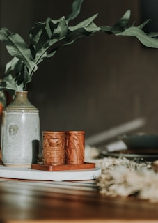a vase with a plant in it sitting on a table