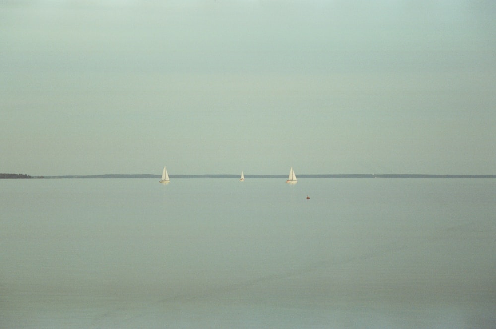 a group of sailboats floating on top of a large body of water