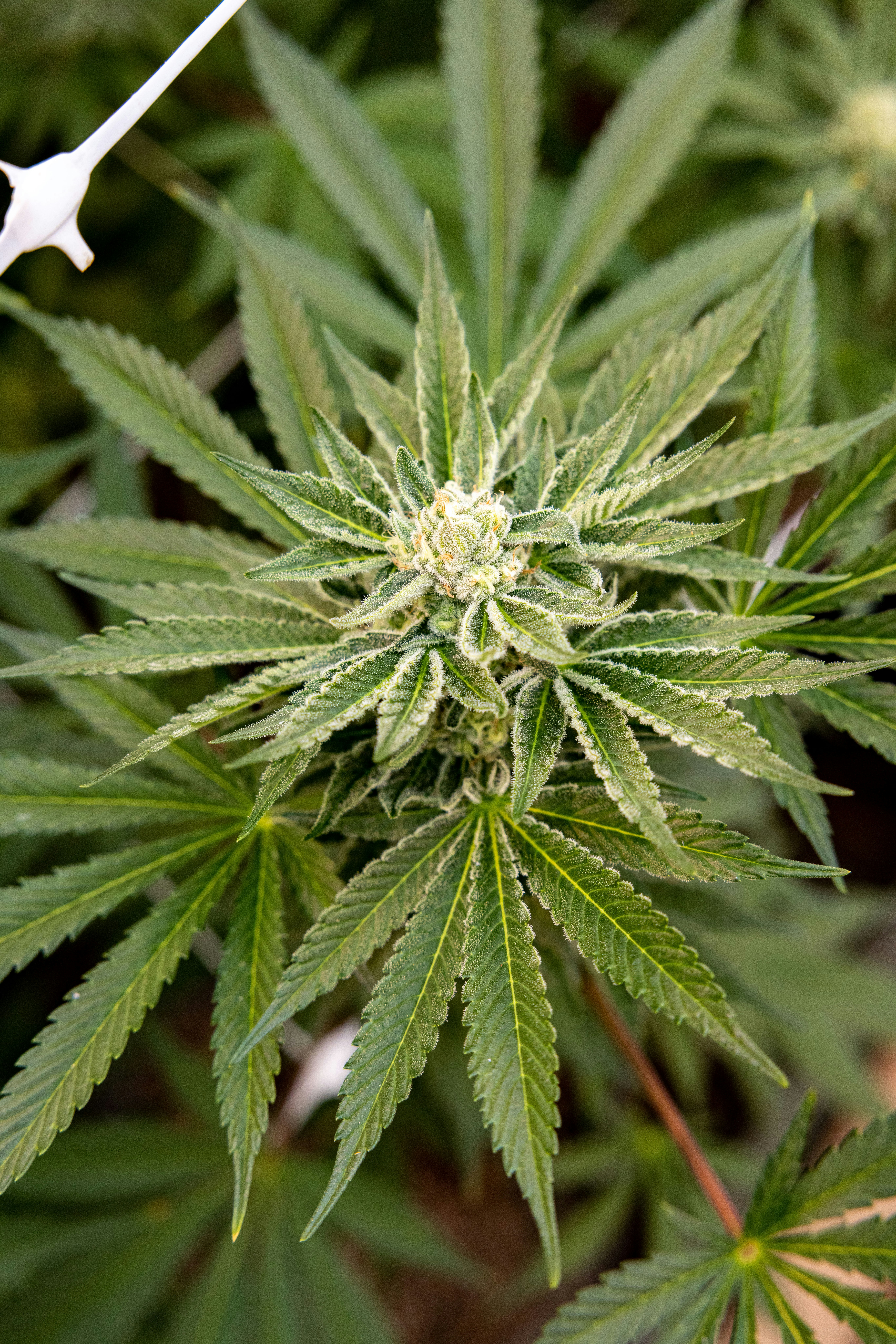 Photo by leo_visions_